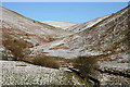 Hill countryside by the Meikledale Burn