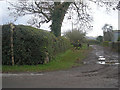 Bridleway at Nash End