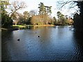 Bedford Park Lake