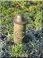 Cast Iron Boundary Post beside the River Weaver