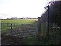 Footpath on South Street Road