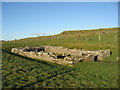 NY8571 : The Mithraeum at Brocolitia by Mike Quinn