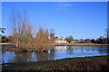 Barton Mere