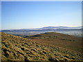SO4893 : The southeastern top of Hope Bowdler Hill by Richard Law