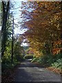 Lane towards Coomb Mill