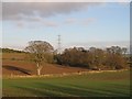 Arable land, West Morriston