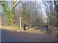 Footpath on Scragged Oak Road