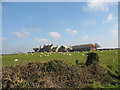 SH3475 : Grazing sheep at Grug-fawr Farm by Eric Jones