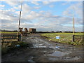 SS9970 : DTL training area near New Barn, St Athan by Mick Lobb