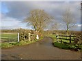 Private Road near Dunkirk