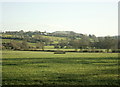 2008 : Pasture on Friggle Street