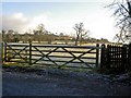 Gate near Whittington