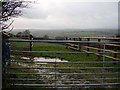 Cattle pen on a wet day