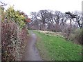 Fife Coastal Path, Hopeward Wood