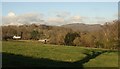 Field by the Templer Way