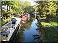 Houseboats on the Basingstoke Canal east of Scotland Bridge