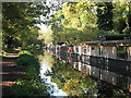 Houseboats on the Basingstoke Canal west of Woodham Lock No.2