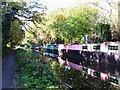 Houseboats (and reflections) on the Basingstoke Canal