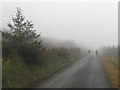 N2304 : Foggy Road by kevin higgins