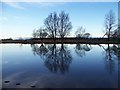 Reflections at Newferry