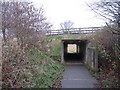 Underpass, Fife Coastal Path