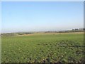 Farmland at Bwlcyn south of the A 55