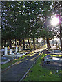 Cemetery, Waterfall Road, London N14