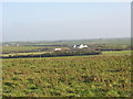 View across rough grazing towards Melin Ddrydwy