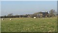 Rhosbeddau farmhouse viewed across sheep pastures