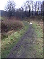 Footpath to Rawtenstall