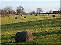 Field with bales, Pednor