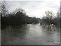 Little Canford, River Stour