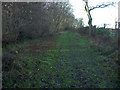 TL6557 : Footpath past Charcoals Wood by Hugh Venables