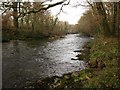 River Dart above Austin