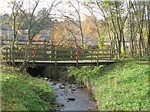 NY9364 : (Another) footbridge over Cockshaw Burn by Mike Quinn