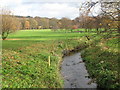 Cockshaw Burn and (part of) Tyne Green (5)