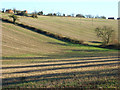 Stubble below Chartridge