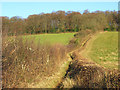 Footpath near Chesham