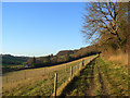 Footpath near Chesham