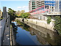 The River Ravensbourne south of Elverson Road DLR station (2)