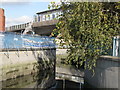 The River Ravensbourne near Deptford Bridge DLR station