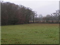 Field near Clyst St Mary