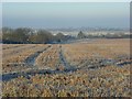 Farmland, Ewelme