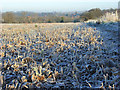 Farmland, Ewelme