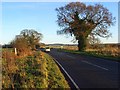 B4009, Groves Lane, Ewelme