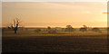TQ8428 : Sunrise near Newenden by Oast House Archive