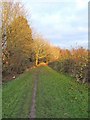 Path adjacent to Broome Manor Golf Course