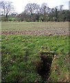 Culvert near Colwall Mill Farm