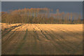 Farmland near East Campsie