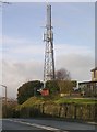 Mast - Reevy Beacon Hill